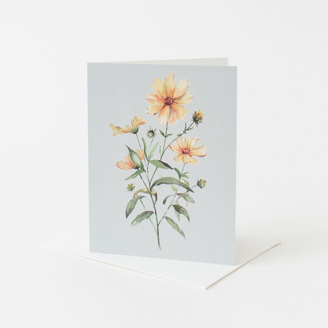 Coreopsis Flower Card
